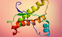 Prion
